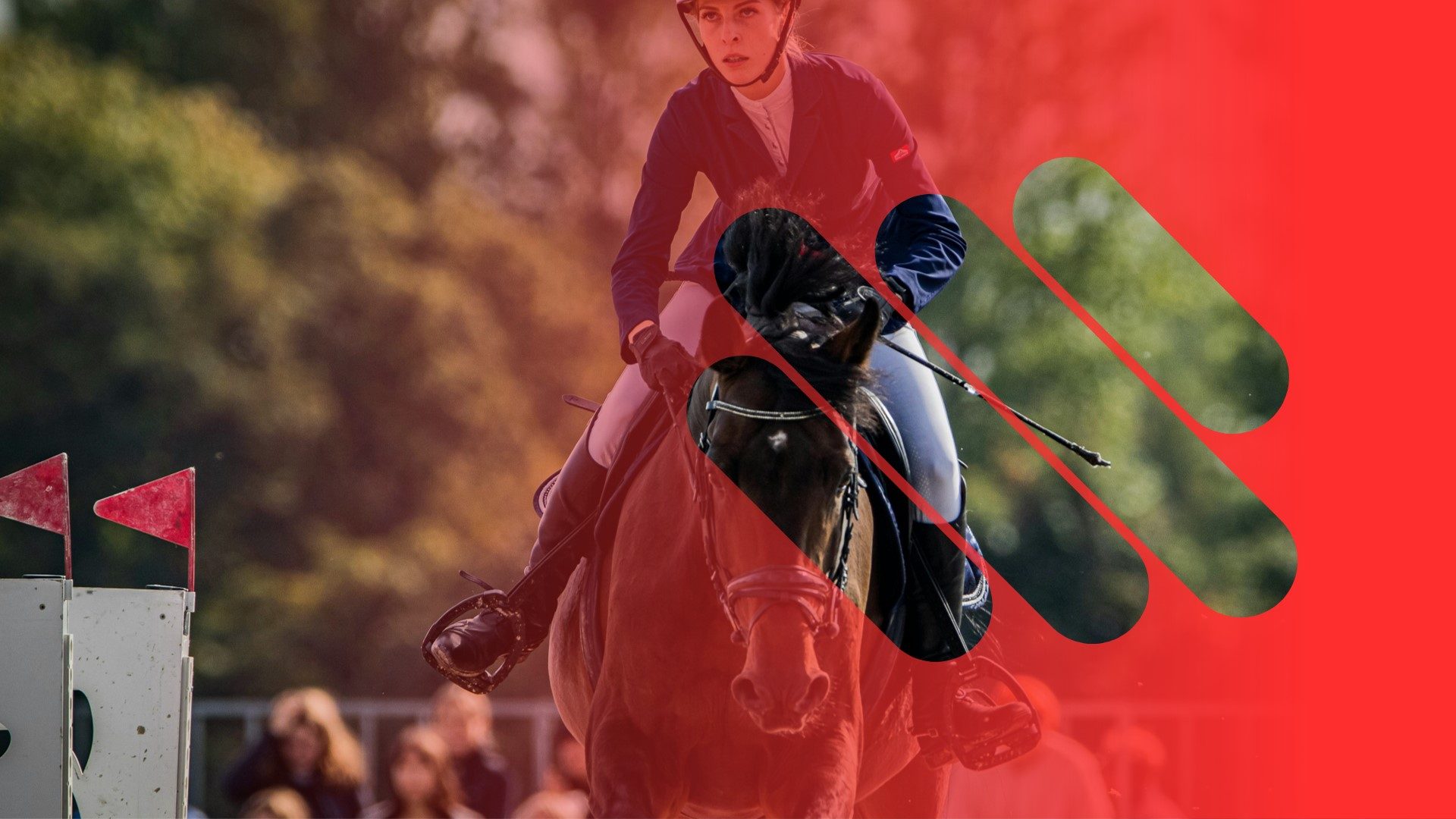 Tiersport im Hoope Park