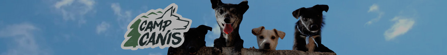 Banner von CAMP CANIS mit drei Hunden vor blauem Himmel